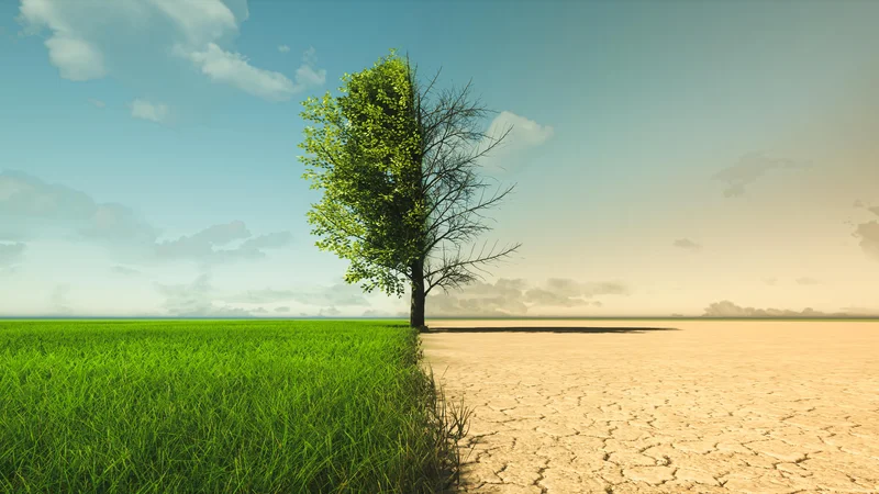 Suše, požari, poplave. Narava se spreminja pred našimi očmi. FOTO: istockphoto