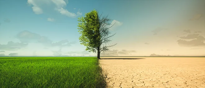 Suše, požari, poplave. Narava se spreminja pred našimi očmi. FOTO: istockphoto