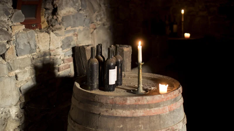 Fotografija: Beseda za vino je v različnih indoevropskih jezikovnih skupinah izpeljana na različne načine. FOTO: Jure Eržen
