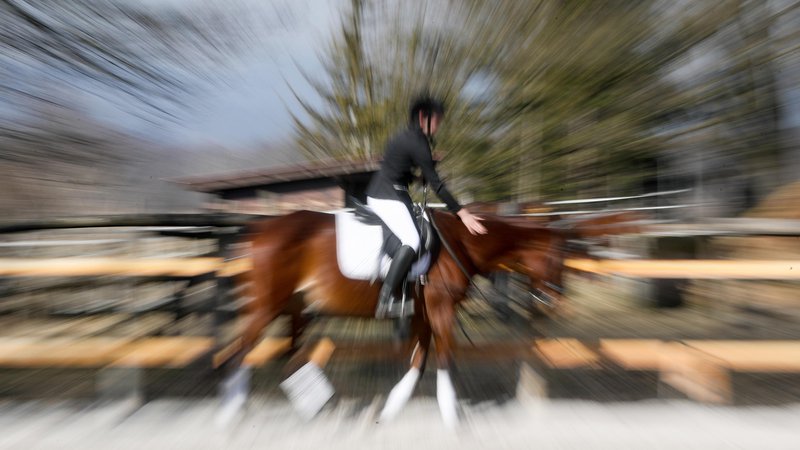 Fotografija: Dekle se je zdravilo zaradi hudih poškodb po padcu s konja. Simbollčna fotografija. FOTO: Marko Feist/Slovenske novice