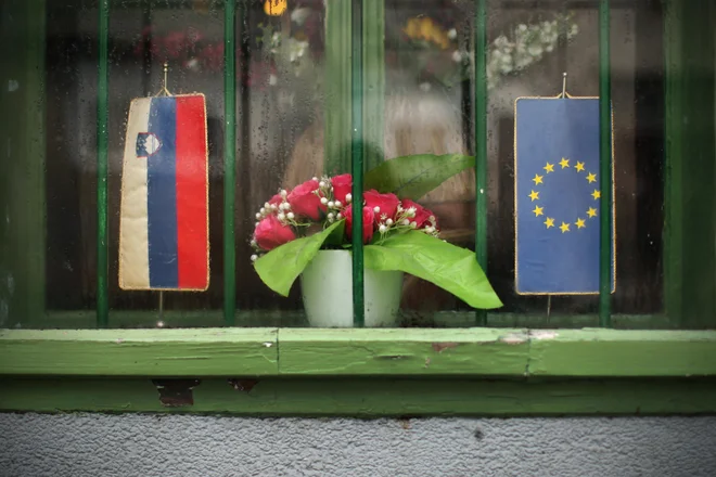 Nad sedanjimi simboli, sprejetimi v osamosvojitveni naglici na skoraj rokohitrski način in brez besede zastavoslovja in grboslovja, vsi niso navdušeni. FOTO: Jure Eržen/delo