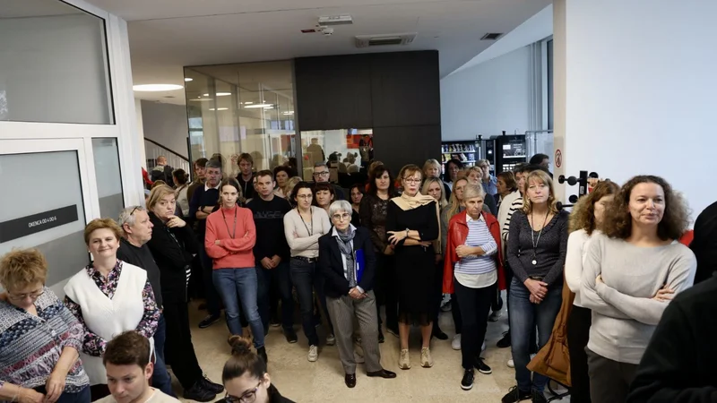 Na sedmih upravnih enotah stavkajo. FOTO: Črt Piksi/Delo