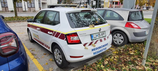Redarska služba z globami prispeva finančna sredstva v občinske proračunu. FOTO: Bojan Rajšek/Delo