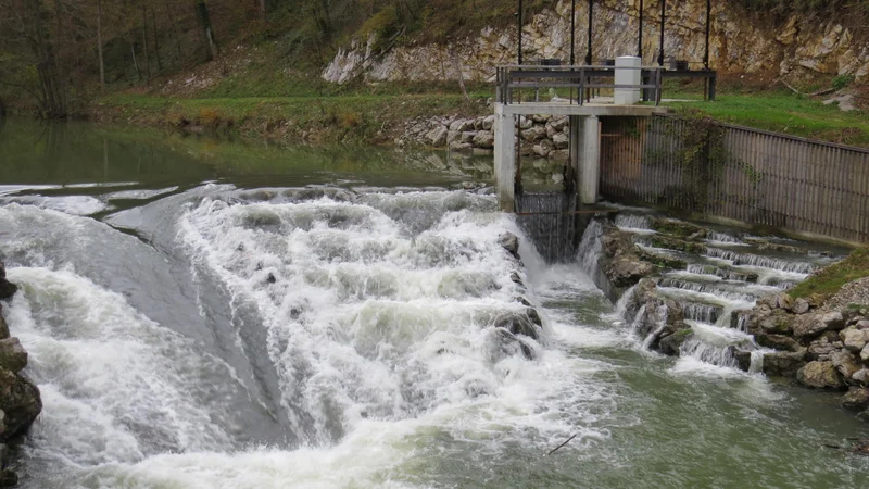 Fotografija: Pregrada z ribjo stezo gorvodno od
nekdanjega jezu pri nekdanjem mlinu. FOTO: Bojan Rajšek/Delo