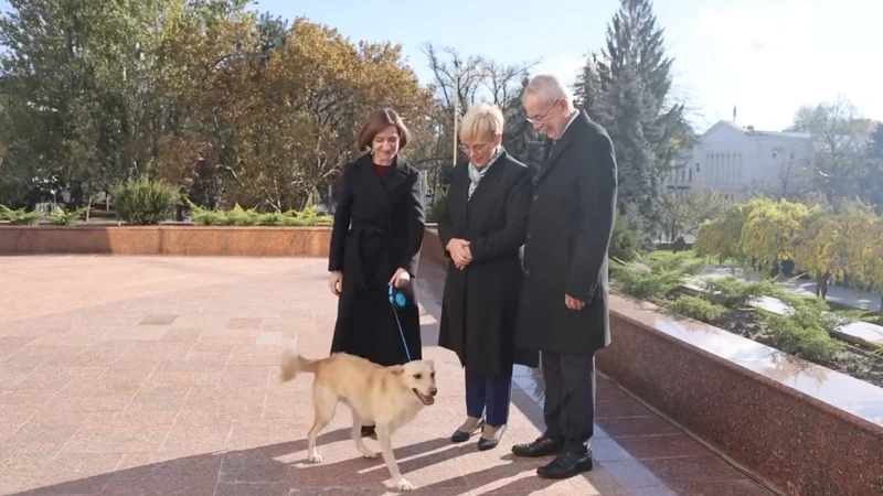 Fotografija: Moldavska predsednica Maia Sandu z Gozdičkom – v družbi slovenske predsednice Pirc Musarjeve in avstrijskega kolega Van der Bellna. FOTO: Maia Sandu/Facebook via Reuters