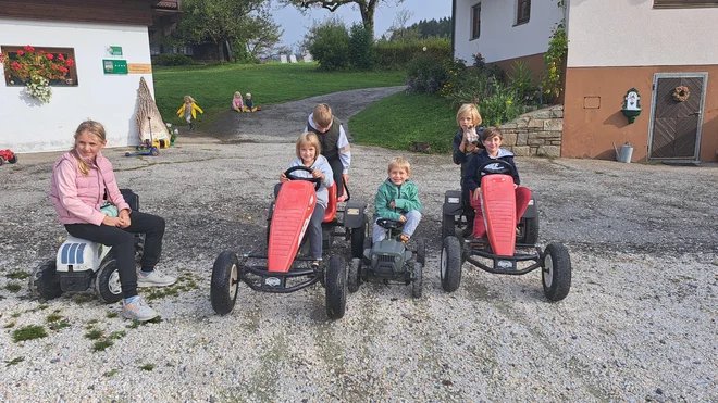 Poleg živali druga največja atrakcija na turistični kmetiji FOTO: Mirko Strle