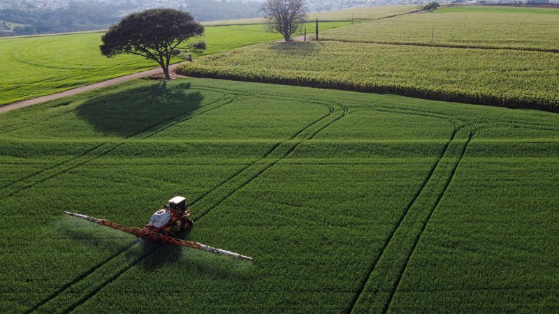Fotografija: Evropski poslanci so predlog uredbe o trajnostni uporabi pesticidov, ki je predvidevala zmanjšanje porabe pesticidov za 50 odstotkov do leta 2030, pokopali z 299 glasovi proti, 207 glasovi za in 121 vzdržanimi. FOTO: Rodolfo Buhrer/Reuters