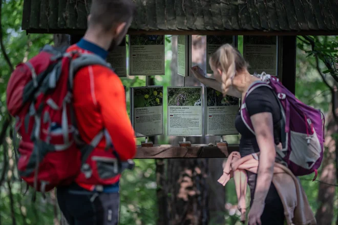 Obiskovalce želijo usmeriti k spoznavanju krajev, ki so ji bili ljubi. FOTO: Maja Skrbinek