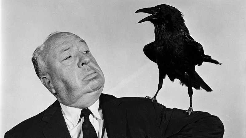 Fotografija: Alfred Hitchcock – eden najbolj občudovanih režiserjev, ki je enako uspešno mučil gledalce kot svoje sodelavce. Prve z gozo v filmih, druge med snemanjem. Foto TVS