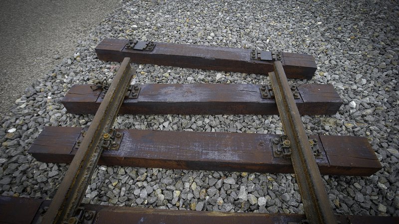 Fotografija: Država je za delovanje železniškega omrežja in prevoza v zadnjih letih iz proračuna namenila 4,6 milijarde evrov. FOTO: Jože Suhadolnik/Delo