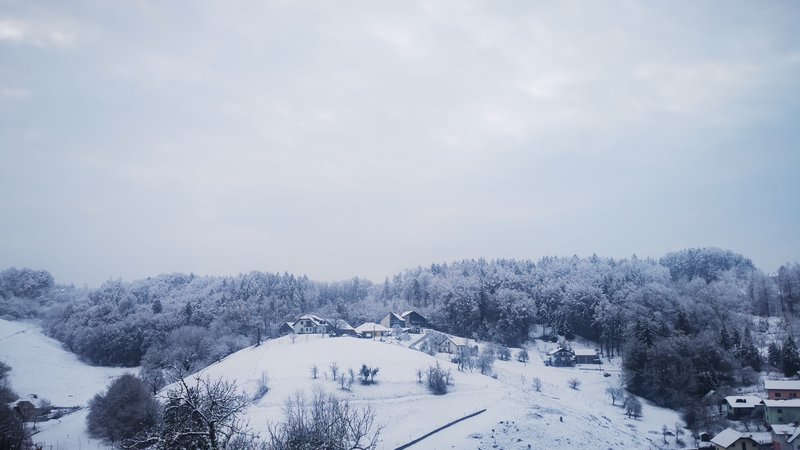 Fotografija: Meja sneženja se je včeraj hitro spuščala in se v večjem delu države spustila do nižin. FOTO: B.B.