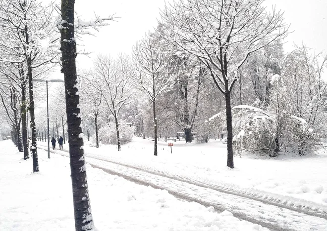 Snežna odeja v Salzburgu. FOTO: Barbara Gindl/AFP