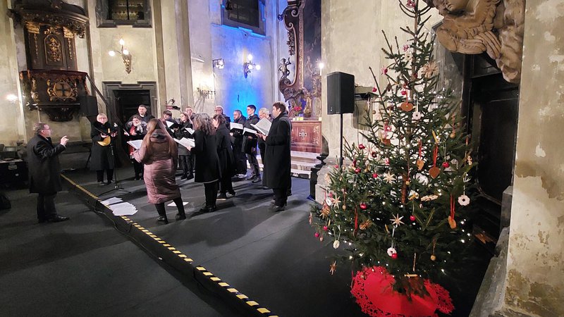 Fotografija: Nemško govoreča skupnost v Sloveniji je ob nocojšnjem božičnem koncertu v ljubljanski Križevniški cerkvi postavila tudi božično drevo iz kočevskega gozda. FOTO: Blaž Samec