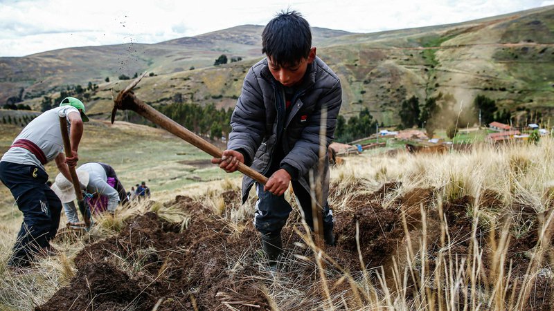 Fotografija: Suša, ki jo je povrzočil pojav El Niño, je že prizadela revna območja v osrednjih Andih v Peruju.

FOTO: Hugo Curotto/AFP