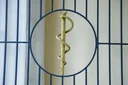 image_alt