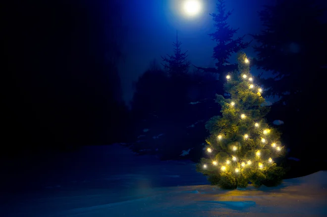 Letošnja praznična podoba bo žal drugačna kot lanska. FOTO: Shutterstock
