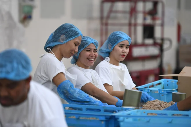 Na Hrvaškem so že poenostavili zaposlovanje delavcev s Filipinov, tega si želijo tudi slovenski delodajalci. Foto Jure Misković/Cropix