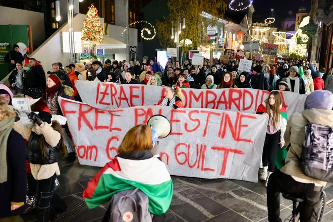 Shod v podporo Palestini. FOTO: Črt Piksi