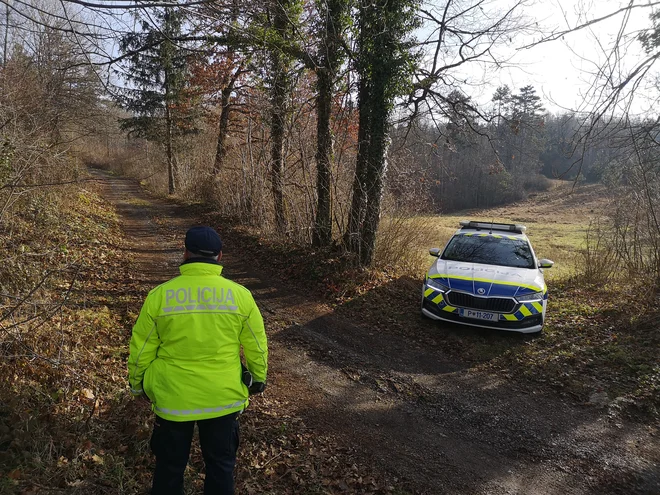 Železniška nesreča pri Postojni FOTO: Dejan Javornik/Slovenske novice