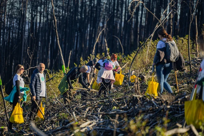 Namesto v pisarno so se odpravili na teren, kjer so pomagali pa posaditvi novih dreves. FOTO: Vita, življenjska zavarovalnica, d. d.