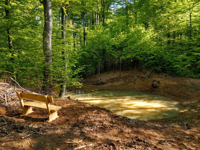 Obnovljeni kal, kjer so bila izkopana debla 6560 let stare jelke, bo namenjen za ohranjanje dvoživk. FOTO: Jani in Gorazd Kutin