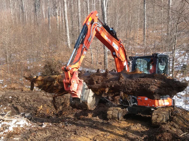 Izkopali so šest hlodov različne velikosti in debeline. Sklepajo, da jih je porušil vetrolom. FOTO: Jani in Gorazd Kutin