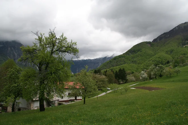 Čadrg je majhna vas s kakšnimi 50 prebivalci. FOTO: Blaž Močnik