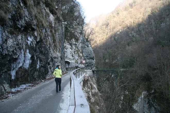 Cesta nad Tolminskimi koriti proti Čadrgu FOTO: Blaž Močnik