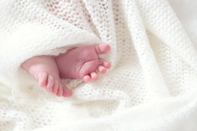 Fotografija je simbolična. FOTO: Shutterstock 

 