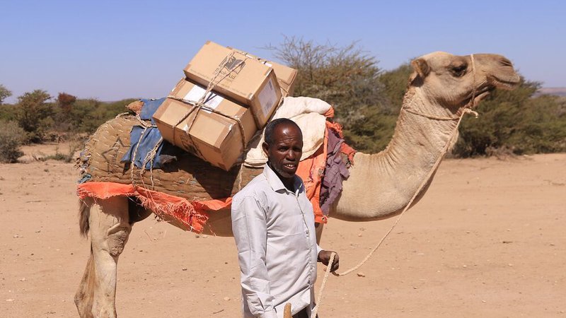 Fotografija: Mustafe Osman Abdi vodi potujočo knjižnico v oddaljenih predelih Somalije in knjige tovori do bralcev s kamelo. FOTO: Book Aid International