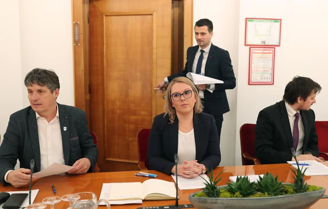 Kot razberemo iz medijev, je Mateja Čalušić univerzitetno izobrazbo, ki je nima, navedla že v kandidatni listi Državne volilne komisije leta 2022. Ta izobrazba se je nahajala na portalu državnega zbora (DZ) tudi do pred kratkim. FOTO: Blaž Samec/Delo