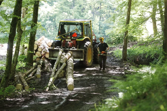 SiDG od ustanovitve povečuje tudi vlaganja v gozdno infrastrukturo, rahel padec so zabeležili le leta 2020. FOTO: Leon Vidic/Delo