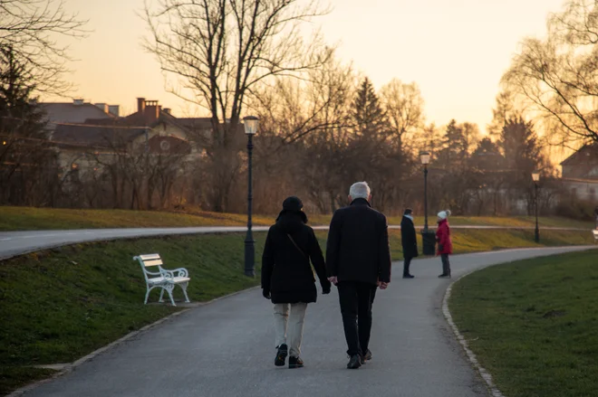 Oskrbovalec mora biti družinski član upravičenca in mora živeti na istem naslovu. FOTO: Voranc Vogel/Delo