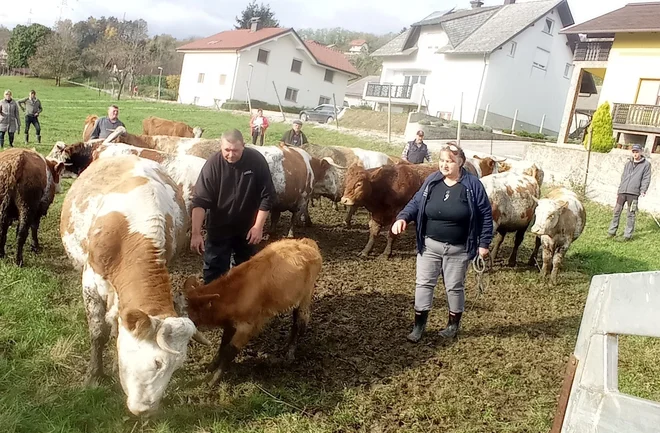 Kmetija Veniše. FOTO: Arhiv