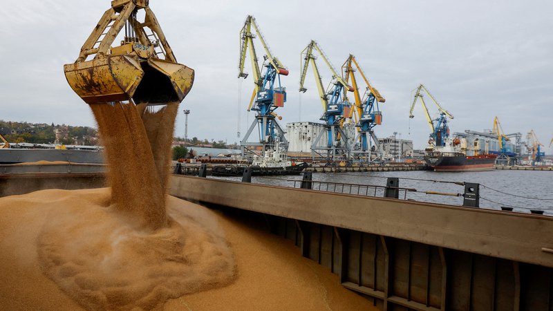 Fotografija: Če bo pridelek pšenice res večji, bo to nekoliko ublažilo težave, ki jih je povzročila vojna v Ukrajini. FOTO: Alexander Ermochenko/Reuters