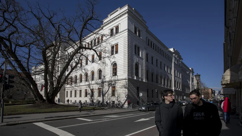 Vrhovno sodišče v Ljubljani. FOTO: Voranc Vogel/Delo