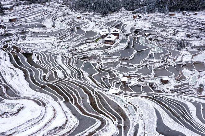 Pogled na zasnežena trerasasta polja in hiše v okrožju Congjiang v kitajski jugozahodni provinci Guizhou. Foto: Stringer/Afp