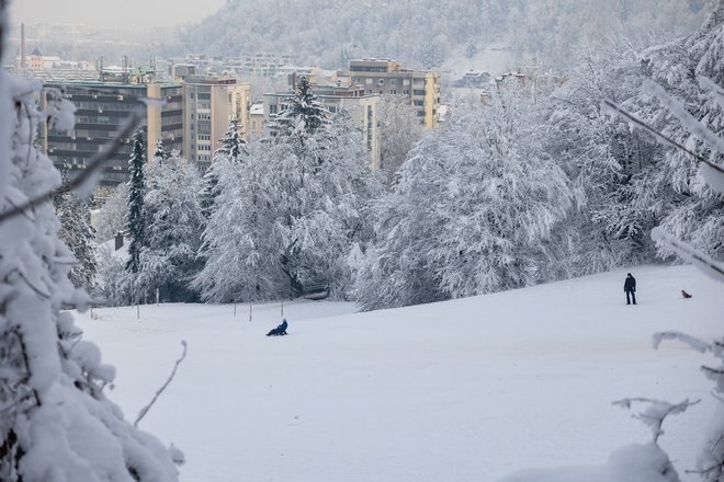 Zimske radosti v mestu FOTO: Črt Piksi