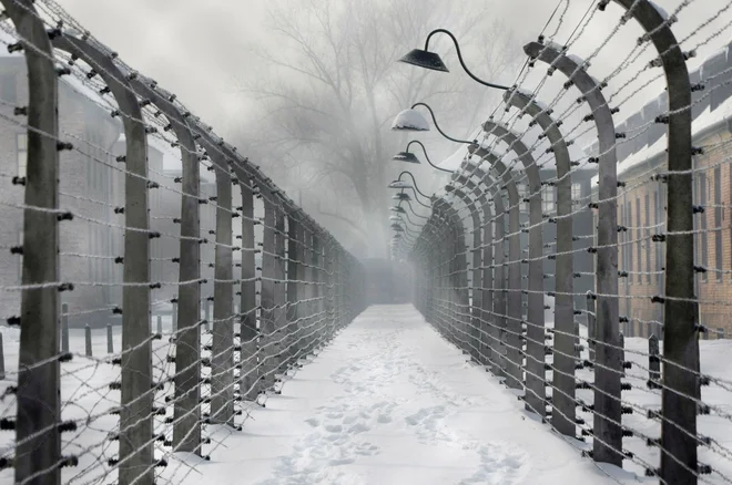 Po novejših raziskavah zgodovinarjev je bilo iz Slovenije v Auschwitz-Birkenau prepeljanih okrog 2600 ljudi, umrlo jih je približno 1600. FOTO: Kacper Pempel/Reuters