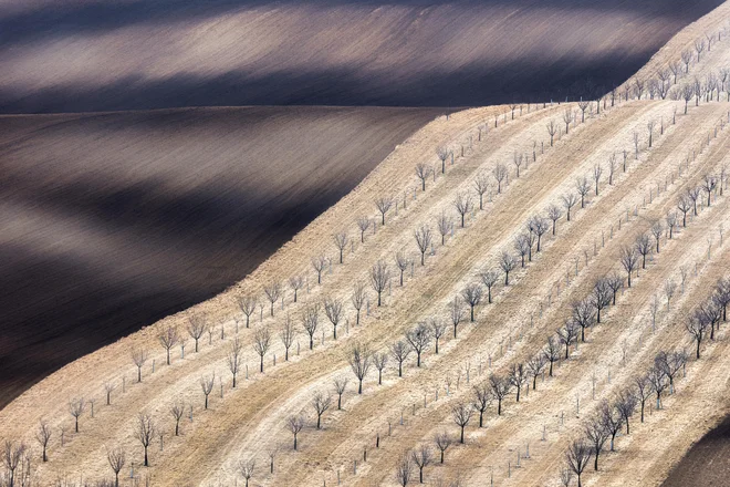 Redko so razmere zares idealne, a izkoristiti je treba trenutek, ko si na neki lokaciji, pravi. (Južna Moravska, Češka.)  FOTO: Andreja Ravnak