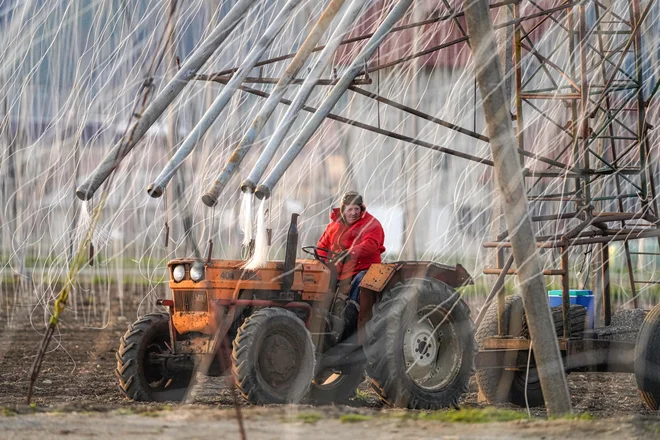 Druga nagrajena serija s trenutki, ujetimi v Savinjski dolini. FOTO: Andreja Ravnak