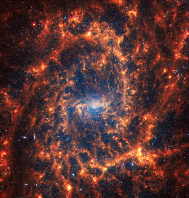 Galaksija NGC 2835, od nas je oddaljena 35 milijonov svetlobnih let. FOTO: Nasa/Esa/CSA/Reuters

 