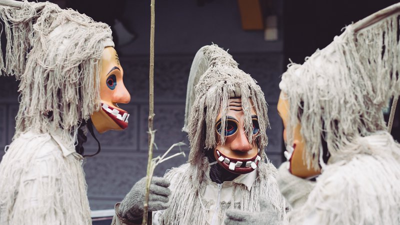 Fotografija: Ta terjast je ena glavnih in najbolj impozantnih mask v laufarski družini. FOTO: Sašo Tušar