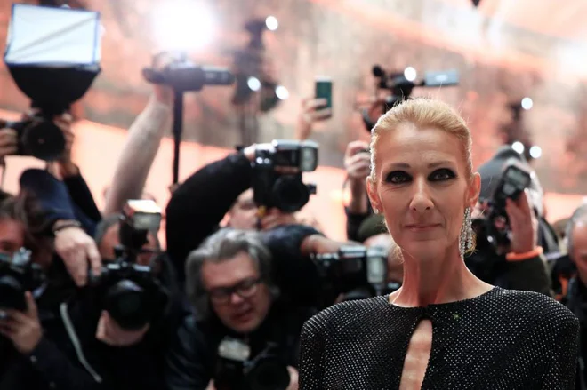 Zaradi bolezni je pevka odpovedala vse koncerte v okviru svoje Courage World Tour. FOTO: Reuters