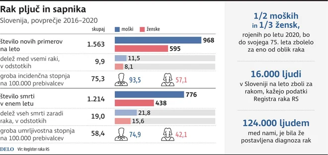 INFOGRAFIKA: Delo