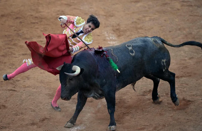 Mehiški bikoborec Leo Valadez med bikoborbo na Monumental Plaza de Toros Mexico v Mexico Cityju. V Mehiki so se prejšnjo nedeljo ponovno začele bikoborbe, potem ko je vrhovno sodišče preklicalo prejšnjo prekinitev. Foto: Alfredo Estrella/Afp