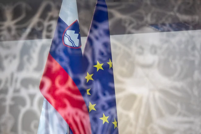 Država, zamejena z vladavino prava, mora prevzeti vse funkcije, ki pritičejo državi. FOTO: Voranc Vogel