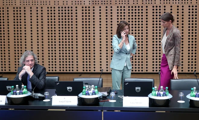 Na račun izgube zaupanja v SD je Gibanje Svoboda pridobilo le malenkost, dosedanji volivci SD so se preselili večinoma med neopredeljene. FOTO: Blaž Samec