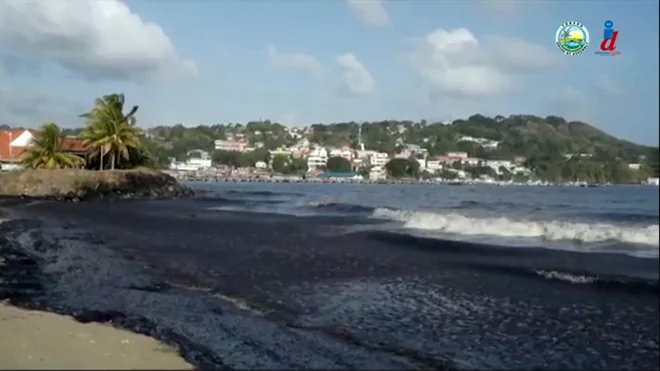 Nafta je dosegla tudi neokrnjene plaže. FOTO: AFP