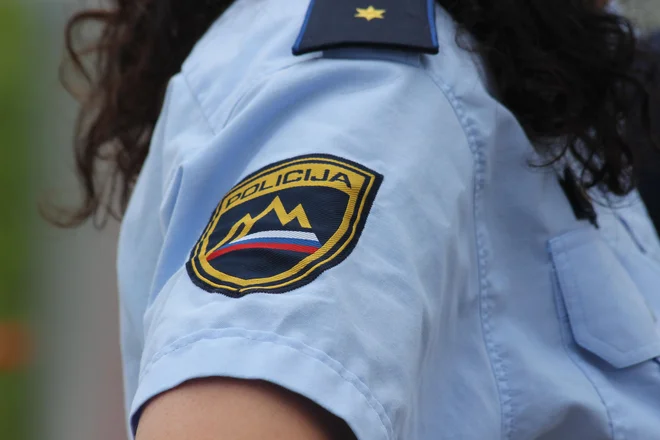Ves konec tedna ni zmanjkalo dela. FOTO: Špela Ankele